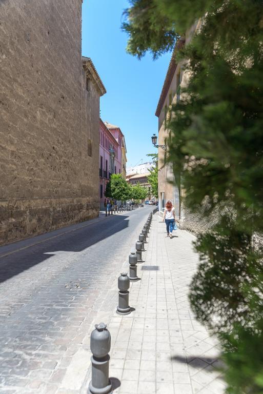 Hospedaje Pension La Almohada Granada Bagian luar foto